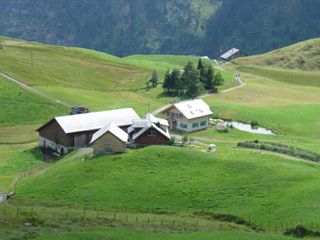 Bauernhof Isenthal Ferien auf dem Bauernhof picture 1